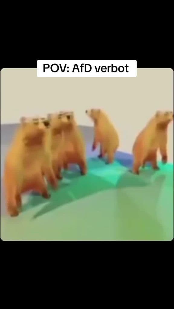#reclaimTikTok #weg_mit_der_AfD #AfD_ist_keine_Alternative #afdverbotjetzt #Meme #MemeCut #CapCut 